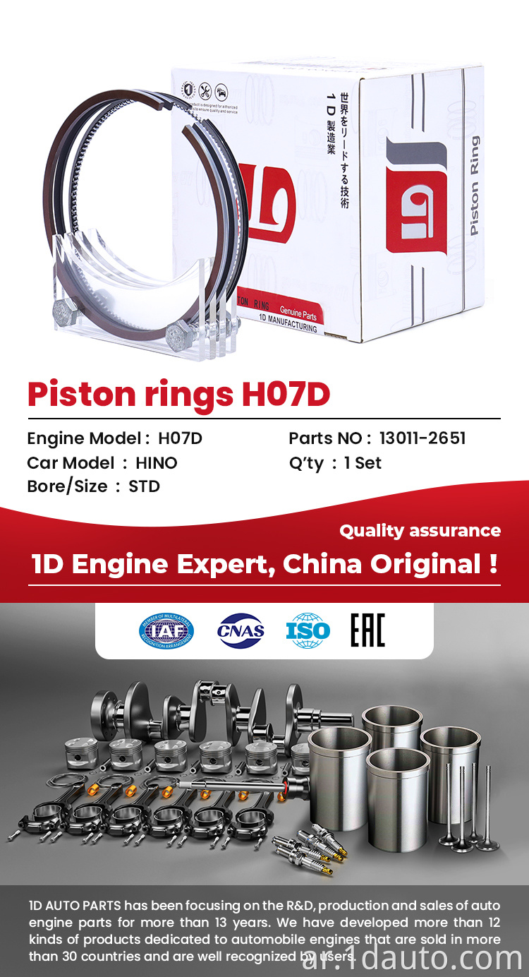 H07D Piston Ring Set